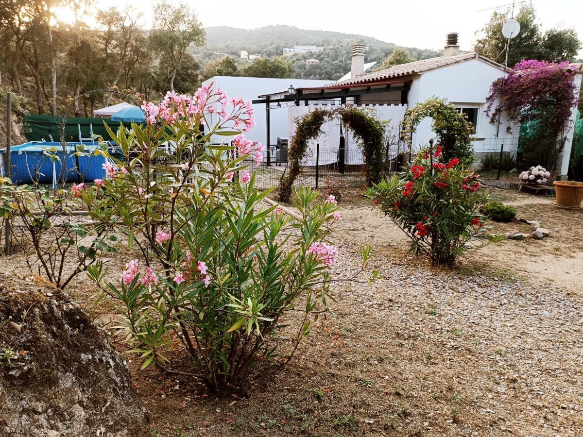 Chalet En Entorno Natural De La Costa Brava Bell-Lloc  Exterior foto